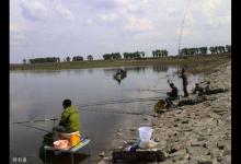 冬季怎么钓鱼？注意四个变化，鱼儿自然上钩