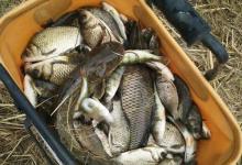 秋季钓鱼4宜，方法得当渔获更有保证