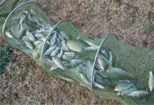 冬季钓鱼，这四个技巧你掌握了吗？