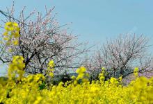 浅谈春钓，高手总结的钓鱼方法