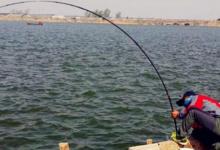 夏季刮风天钓鱼，需要注意的5个技巧