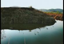 夏钓指南：一天中3个重要的钓鱼时间段