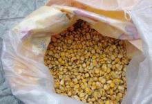 夏钓谨记三个高端用法，大物接连上钩