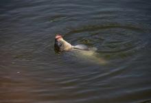 雨季钓鱼需要注意的四个关键技巧