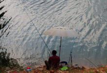 秋季钓鱼心得分享，想提升渔获的别错过