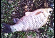 冬季钓鱼的五个干货技巧