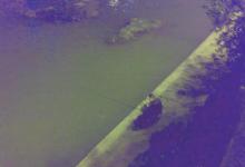 夏季夜钓蚊子多，教你几招如何对付蚊子