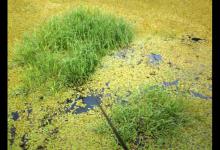 夏钓，钓位选择是关键