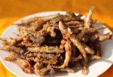 夏季手竿狂拉白条，除了飞铅钓，还有2招