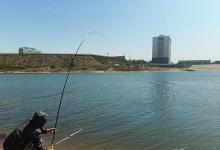 夏季钓鱼导致钓不到鱼的几个问题总结