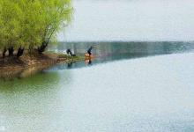 春钓渔获的要素三句话概括，可以对照一二，看看对不对