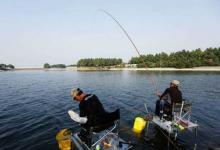 白露过后钓大鱼，需要掌握的4个得当