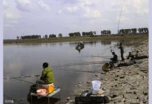 冬钓鲫鱼四个因素，你都知道吗？