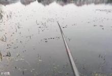 春季钓鱼要钓草，春季不同阶段钓草套路也是不同的
