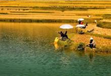 秋季钓鱼，能让渔获猛增的4大要诀技巧