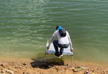 秋钓钓位调整深浅、调整灵钝，与饵料调整腥香技巧