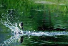 轻松学会夏钓套路