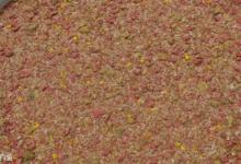 南方冬季怎么钓鱼？