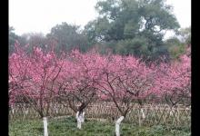 对初春作钓的技巧，钓时钓位与饵料配置