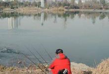 冬季怎么使用红虫饵？