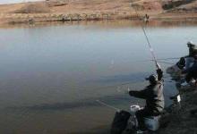 冬季垂钓鲫鱼难？钓具钓法线组思路分析