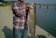 夏天怎么钓草鱼？