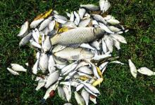 适合夏季野钓的5种天气，这些天气出钓