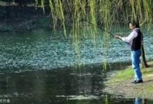 冬天怎么野钓鲫鱼？四个因素决定你的鱼获