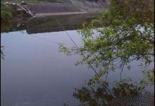 迎接来年，春季钓鲫鱼的十字口诀