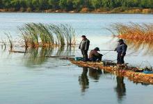 秋末冬初如何才能钓到大鱼 老钓友教你定点钓大鱼技巧
