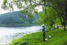 夏天难钓鱼，你需要知道这些技巧