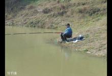 春钓浅滩的原理及技巧要点