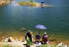 春季野钓全攻略，抓住时机钓更多的鱼
