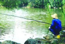 春钓浅究竟是怎么样的?深度分析