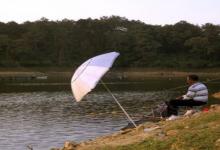 深秋季节野钓鲫鱼，这样的钓位专钓大鲫鱼