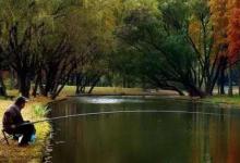 秋钓饵料和钓具了解一下，秋天已经开始了