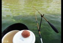 冬季钓鱼鱼儿不上钩怎么办？