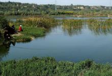 夏季钓鱼的2钓5不钓，你知道是什么吗