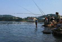 掌握晚秋鱼活动技巧，还怕鱼儿不上钩么