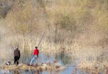 暮春钓鱼，有鱼却不咬钩怎么办？