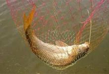 冬钓想有好收获，要注意4个要点