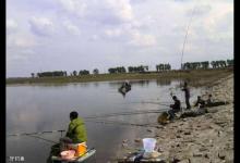 冬钓不中鱼，应该如何选择钓点？