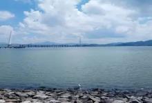 寒露野钓最全解析，这五招快收好