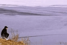 南方冬季应该怎么钓鱼？