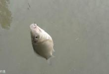 冬季野钓的3个实用技巧