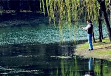 春天什么时候去钓鱼最好？月份分析