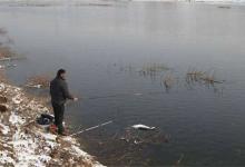 南方初冬如何野钓大鲫鱼