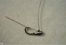 深秋钓鲫鱼的技巧，助你快速上鱼