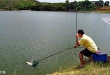 夏钓鲫鱼，在什么环境下更加适宜作钓？