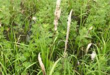 秋季野钓前，需要做的这些事，你忽略了吗？